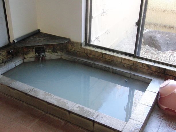 Imagen de la piscina del Hotel Fuji-hakone Guest House. Foto 16