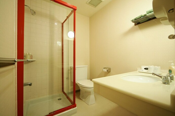 Imagen de la habitación del Hotel Fujikawaguchiko Crescendo. Foto 13