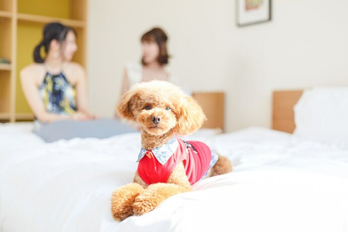 Imagen general del Hotel Fujino Kirameki Fujigotemba. Foto 4