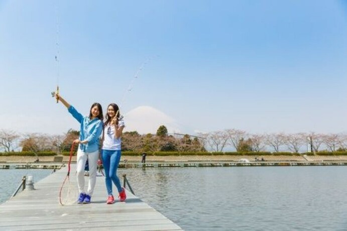 Imagen general del Hotel Fujino Kirameki Fujigotemba. Foto 5