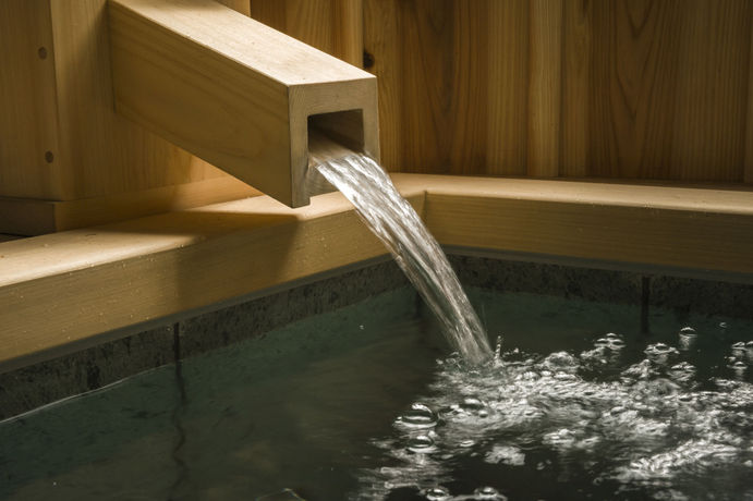 Imagen de los interiores del Hotel Fujisan Onsen Bessho Sasa. Foto 11