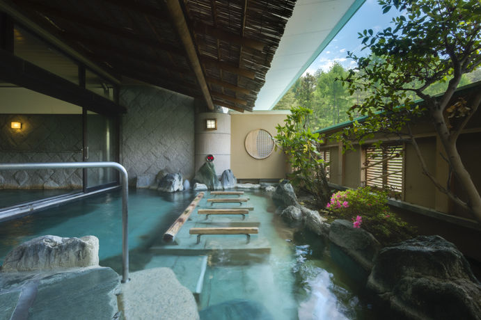 Imagen de la habitación del Hotel Fujisan Onsen Bessho Sasa. Foto 8