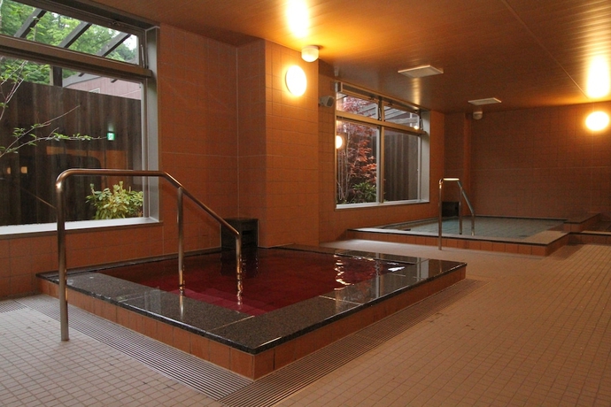 Imagen general del Hotel Fujizakura. Foto 3