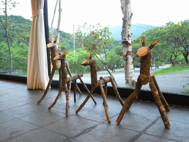 Imagen de los interiores del Hotel Fukinomori. Foto 37