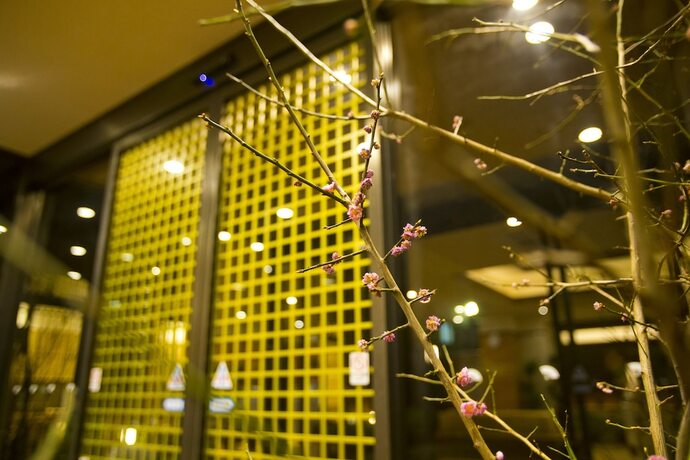 Imagen general del Hotel Fukuchiyama Sun. Foto 10