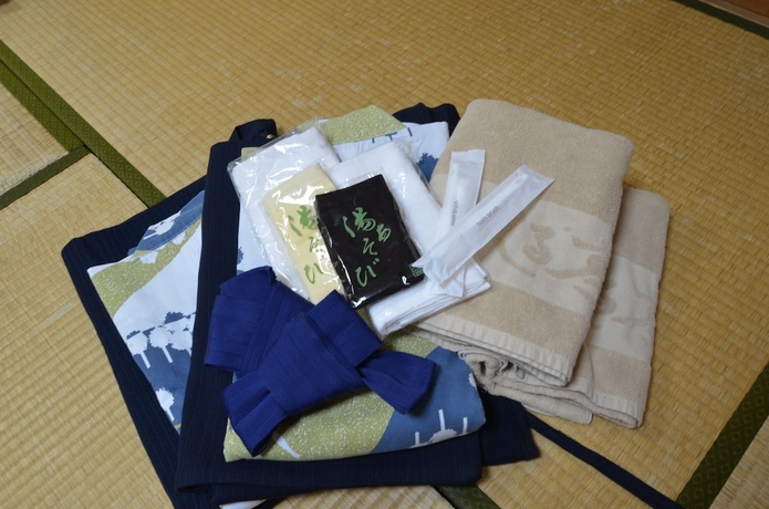 Imagen de los interiores del Hotel Fukuishimiyamashinrinonsen Mirakurutei. Foto 18