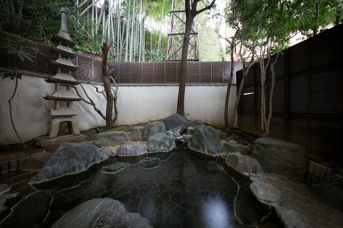 Imagen general del Hotel Fukuritei Ogawaya. Foto 9
