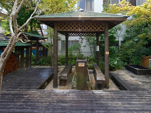 Imagen de los interiores del Hotel Fukusenka. Foto 37