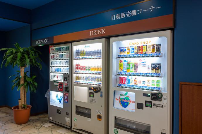 Imagen de los interiores del Hotel Fukuyama Terminal. Foto 15