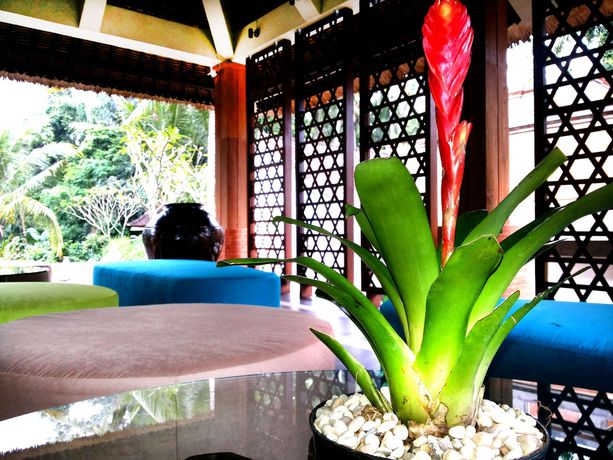 Imagen de los interiores del Hotel Fullmoon Villa Ubud. Foto 7