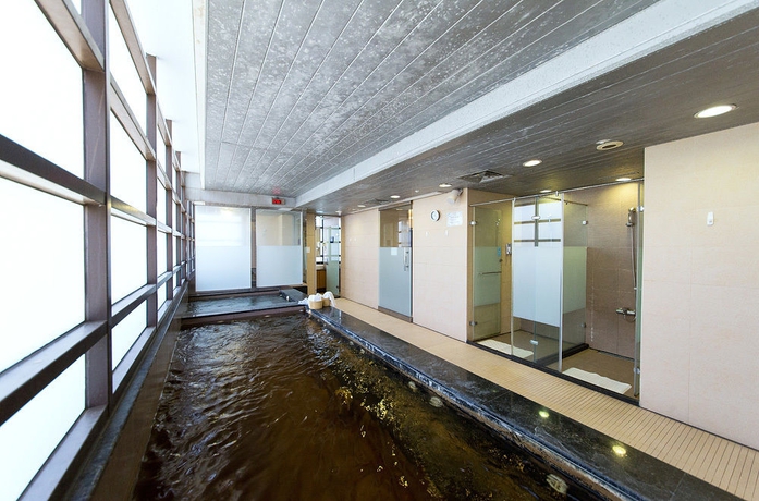 Imagen de la piscina del Hotel Fullon Taipei Central. Foto 10