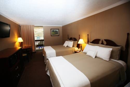 Imagen de la habitación del Hotel Fun City Resort. Foto 11