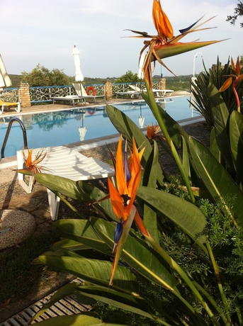 Imagen de la piscina del Hotel Fundana Villas. Foto 14