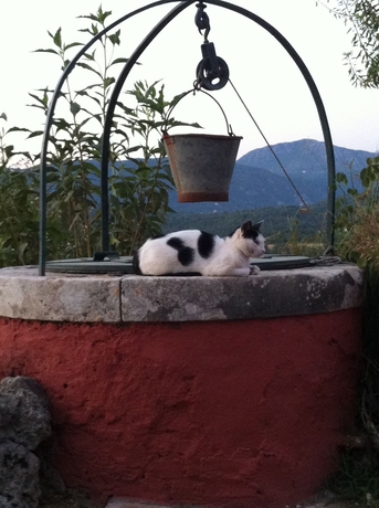 Imagen de los exteriores del Hotel Fundana Villas. Foto 7