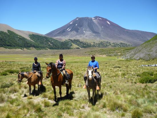Imagen de los exteriores del Hotel Fundo Laguna Blanca. Foto 5