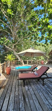 Imagen de la habitación del Hotel Fundu Lagoon. Foto 13