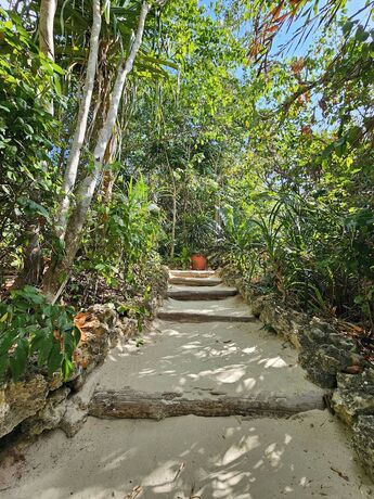 Imagen general del Hotel Fundu Lagoon. Foto 9