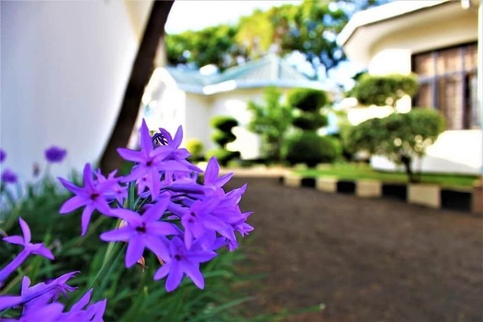 Imagen general del Hotel Furaha Lodge. Foto 2