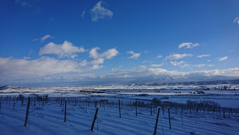 Imagen de los exteriores del Hotel Furano Denen Cottage Nupuri. Foto 34