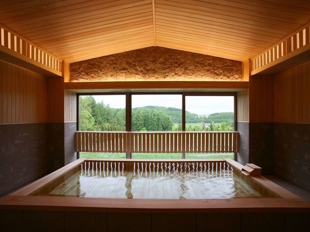 Imagen de la piscina del Hotel Furano. Foto 14