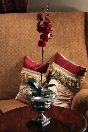 Imagen de la habitación del Hotel Fusion Boutique. Foto 7