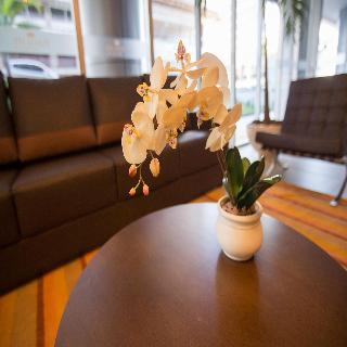 Imagen general del Hotel Fusion Hplus Express. Foto 12