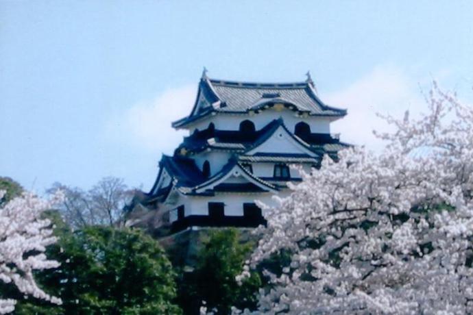 Imagen general del Hotel Futabaso. Foto 1