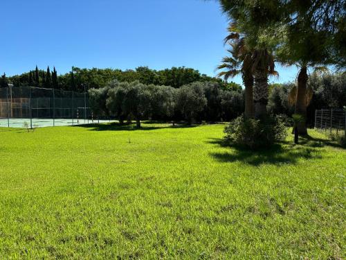 Imagen general del Hotel Futurotel Paradise Resort. Foto 17