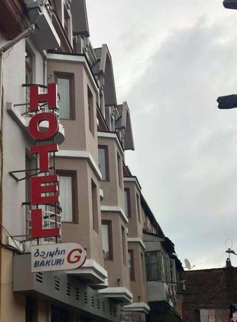 Imagen general del Hotel G. Bakuri. Foto 3