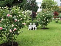 Imagen general del Hotel GANSLHOF, Salzburgo. Foto 6