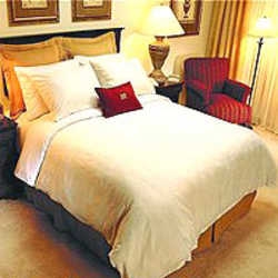 Imagen general del Hotel GARDEN INN and SUITES, JFK Airport. Foto 3