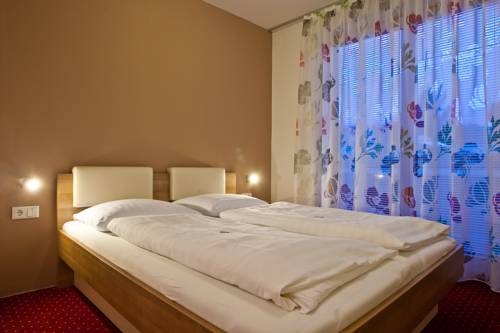 Imagen general del Hotel G&Auml;STEHAUS STEGER. Foto 9