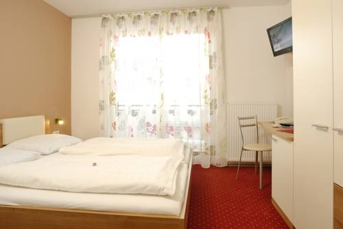 Imagen general del Hotel G&Auml;STEHAUS STEGER. Foto 14