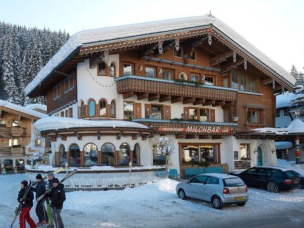 Imagen general del Hotel GERLOS PERLE. Foto 4