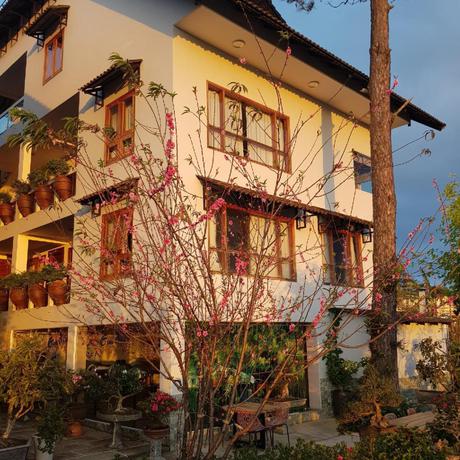 Imagen general del Hotel GIAI DIEU MELODY HOTEL. Foto 4