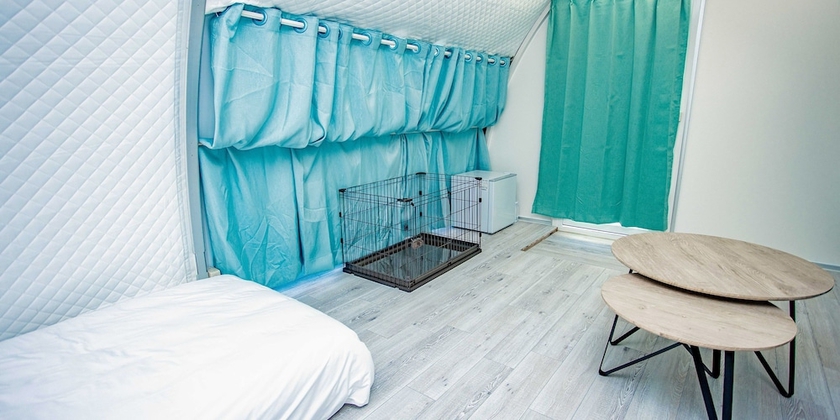 Imagen de la habitación del Hotel GLAMTECH RESORTS HEAVEN. Foto 7