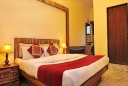 Imagen general del Hotel GOLD REGENCY. Foto 13