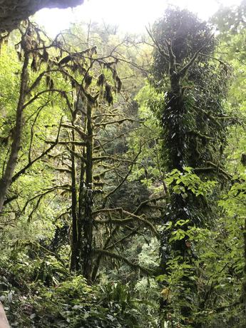 Imagen general del Hotel GRAAL AHTSU. Foto 6