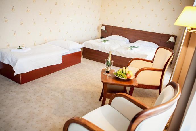Imagen general del Hotel GRAND PRESSBURG. Foto 6