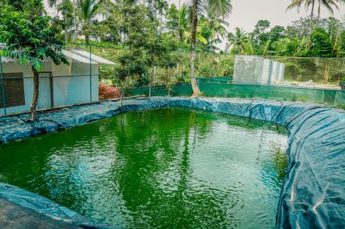 Imagen de la habitación del Hotel GREEN AURO by BOB HOTELS. Foto 16
