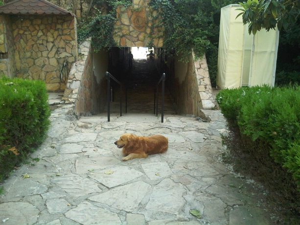 Imagen de los exteriores del Hotel GREEN PEACE, Mahmutlar. Foto 8