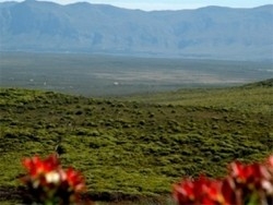 Imagen general del Hotel GROOTBOS NATURE RESERVE, Gansbaai. Foto 4