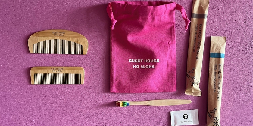 Imagen de la habitación del Hotel GUESTHOUSE HOALOHA 4 SEASONS. Foto 3