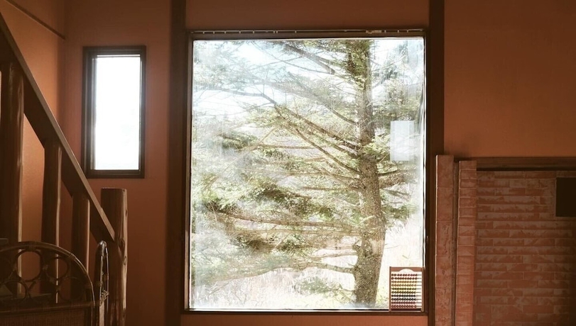 Imagen de los interiores del Hotel GUESTHOUSE HOALOHA 4 SEASONS. Foto 15