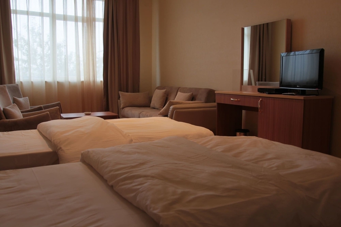 Imagen de la habitación del Hotel Gabala Tufandag City. Foto 11