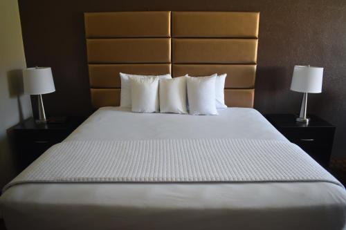 Imagen de la habitación del Hotel Gadsden Inn and Suites. Foto 13