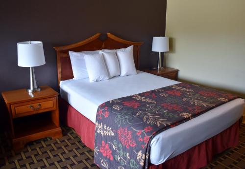 Imagen de la habitación del Hotel Gadsden Inn and Suites. Foto 16