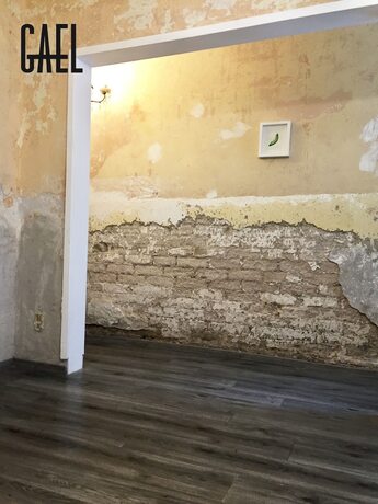 Imagen general del Hotel Gael Condesa - Hostel. Foto 8