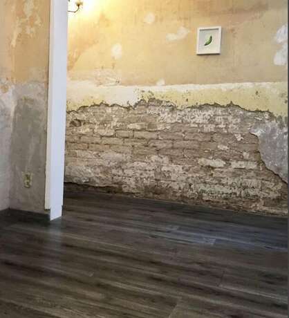 Imagen general del Hotel Gael Condesa - Hostel. Foto 12