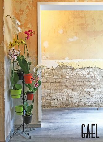 Imagen general del Hotel Gael Condesa - Hostel. Foto 13